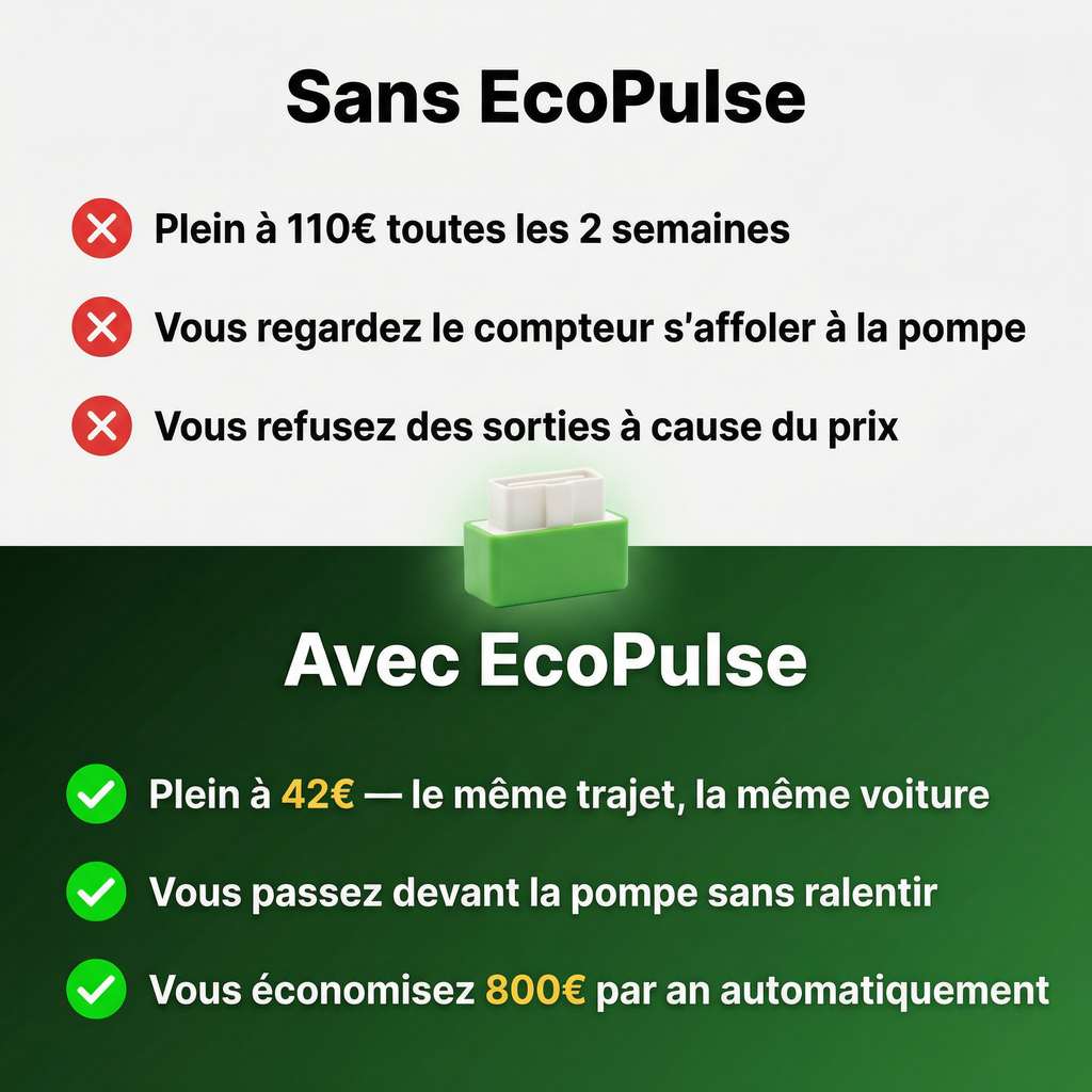 EcoPulse